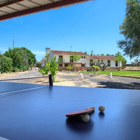 Finca Olivar De La Bardena Guest House Tudela Exterior photo