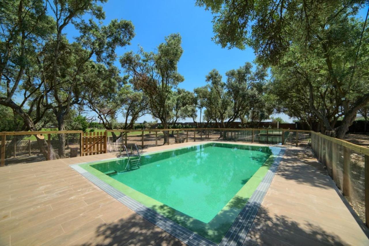 Finca Olivar De La Bardena Guest House Tudela Exterior photo